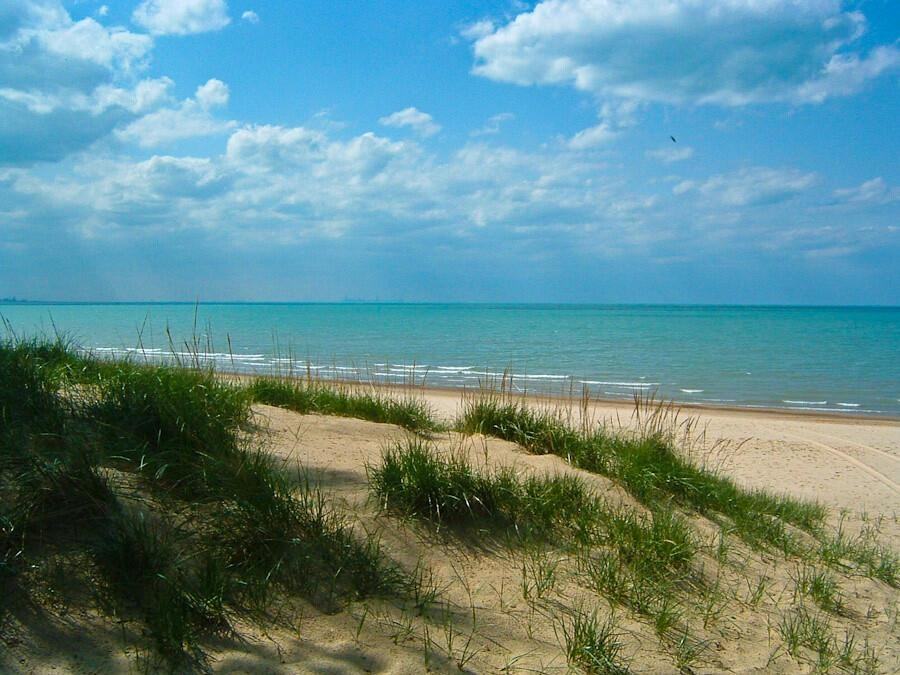 8726 Lakewood Ave - Photo 4 of 26