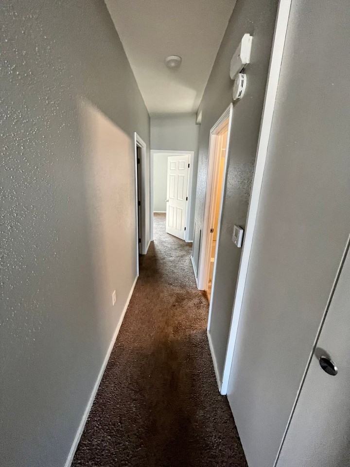 1447 - Photo 5 of 11