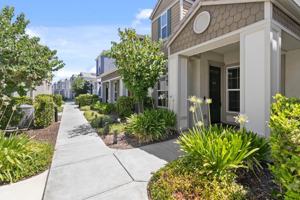 featured image of 3286 Owl Ct