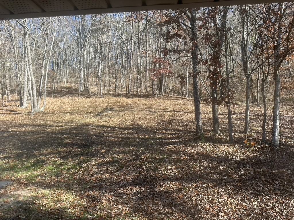 5120 Candies Creek Ridge Rd Nw #NA - Photo 4 of 23