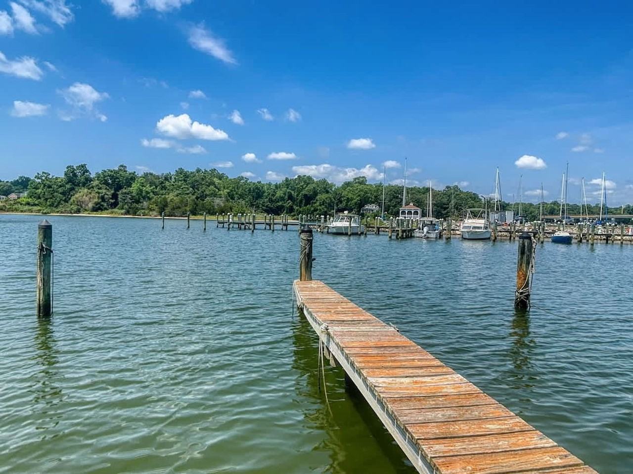 24304 N Patuxent Beach Rd #1363913P - Photo 2 of 28