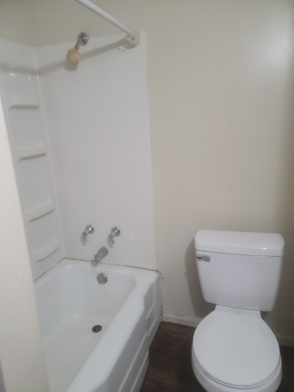 1259 Pearl St - Photo 2 of 15