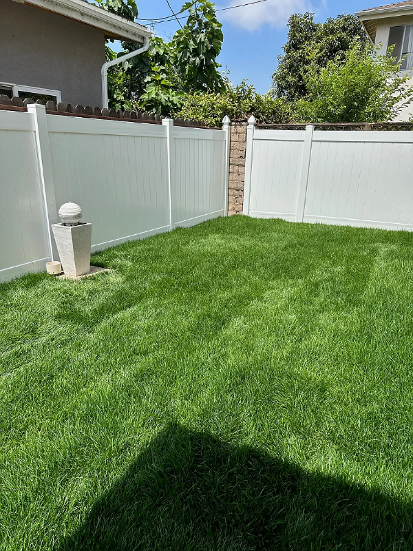 3556 Butler Ave - Photo 2 of 20