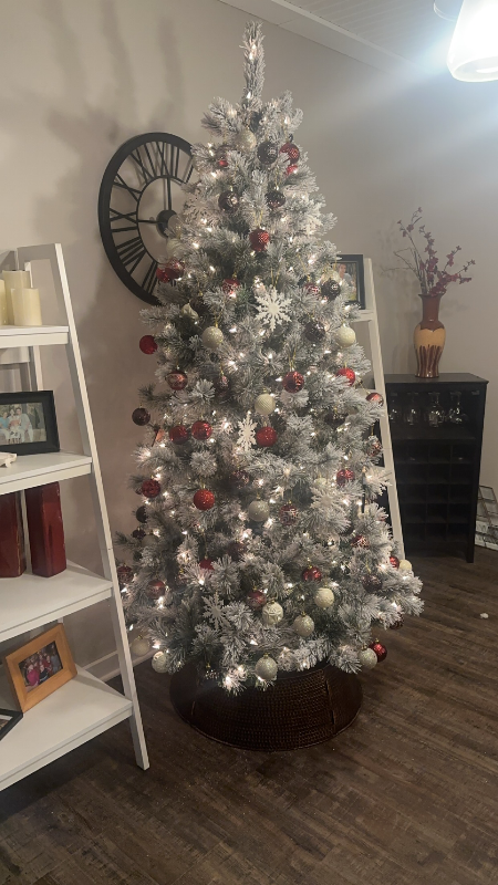 1920 E Mohawk Cir - Photo 2 of 6