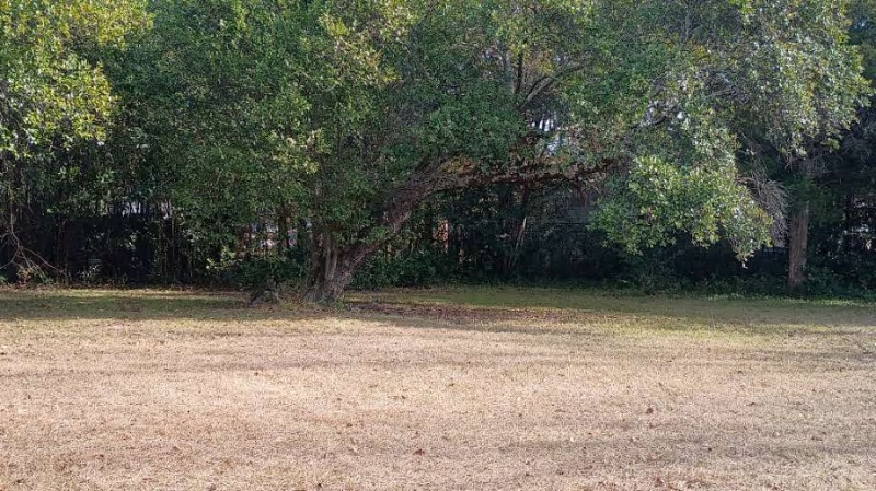 1844 Christian Ave - Photo 6 of 19