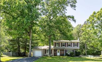 featured image of 338 Diamond Rd
