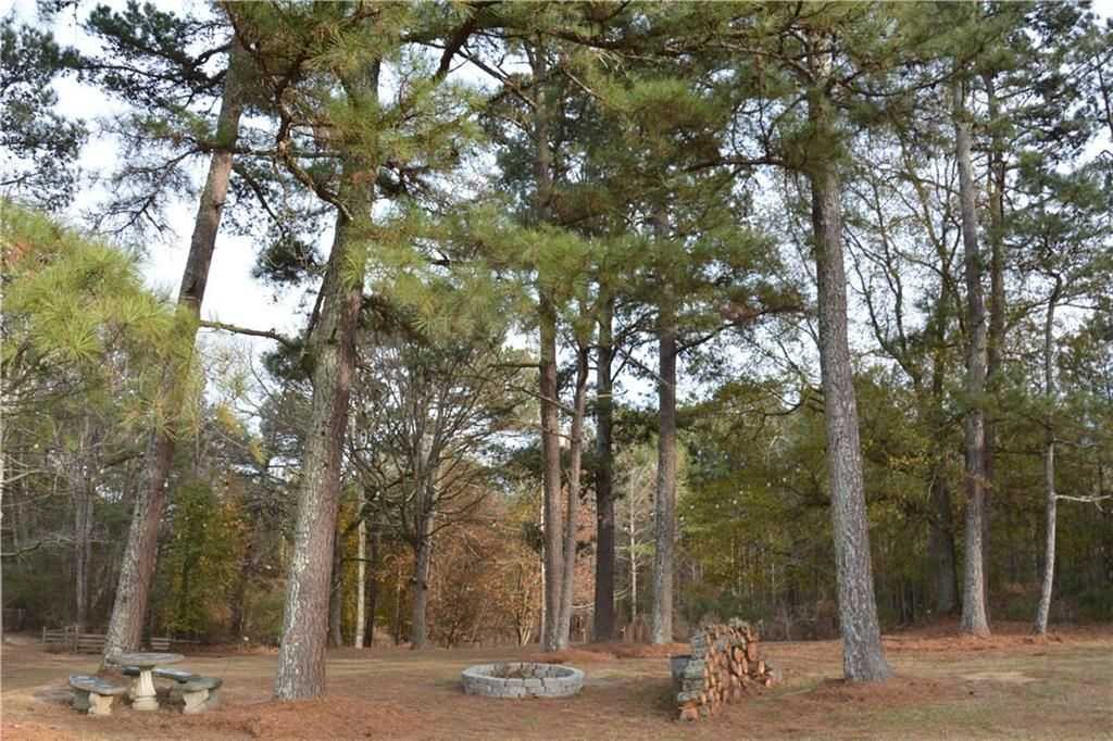1745 Mineral Springs Rd - Photo 2 of 31