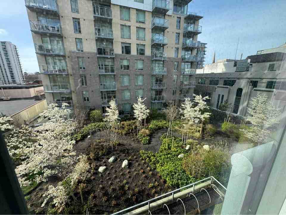 845 Johnson Street #505 - Photo 6 of 19