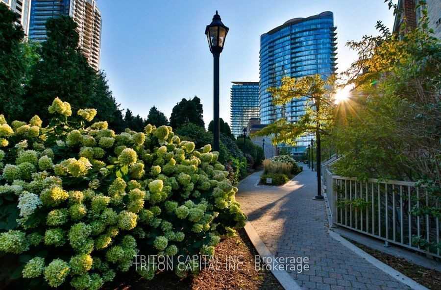 9 Windermere Avenue #TH99 - Photo 4 of 17