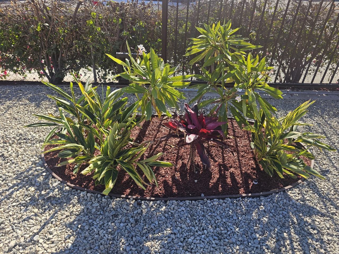 1158 W 1st St #NA - Photo 3 of 27