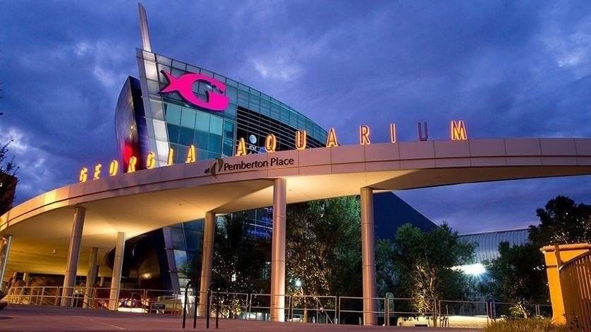 369 Skylar Way Se - Photo 6 of 9