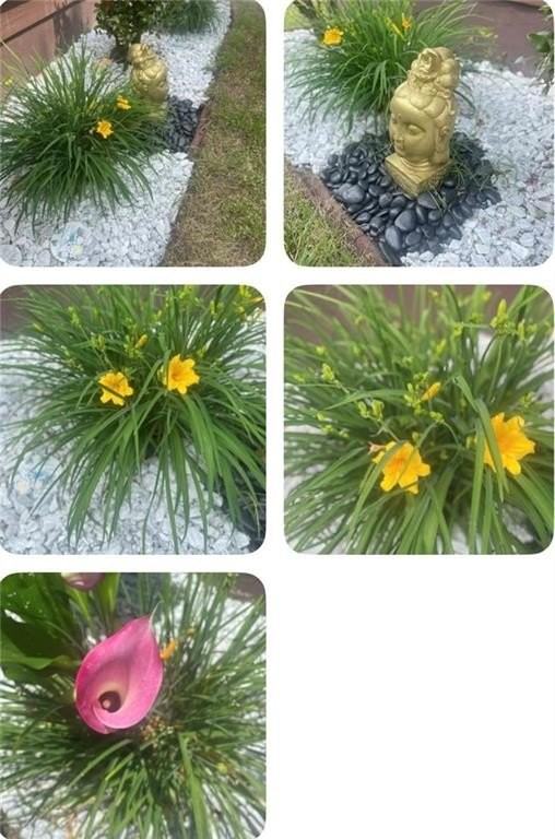 2835 Peek Rd Nw - Photo 7 of 25