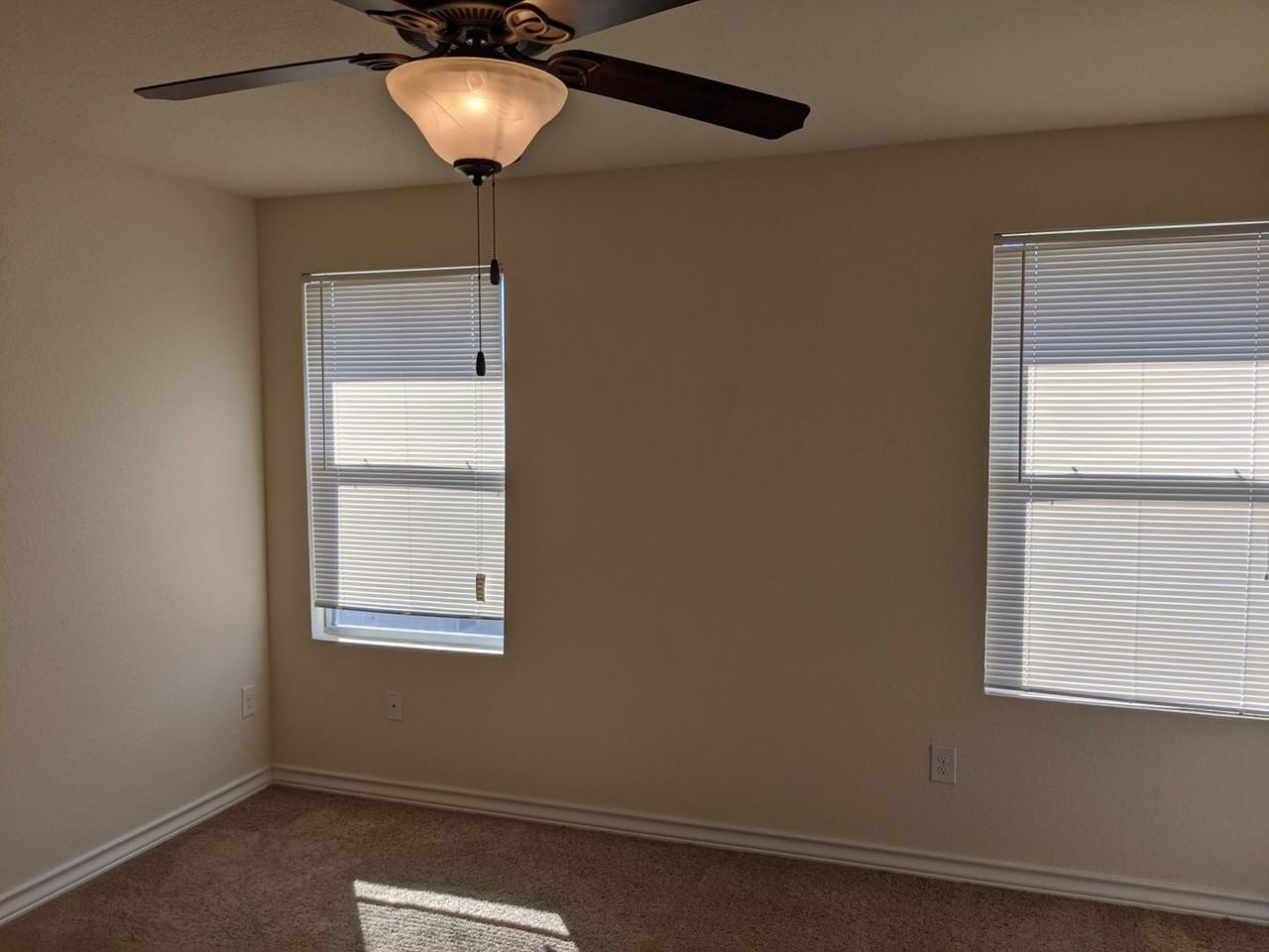 16827 16827 Dancing Ava - 4* - Photo 6 of 12