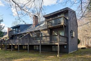 featured image of 17 Woodland Pines Road #17