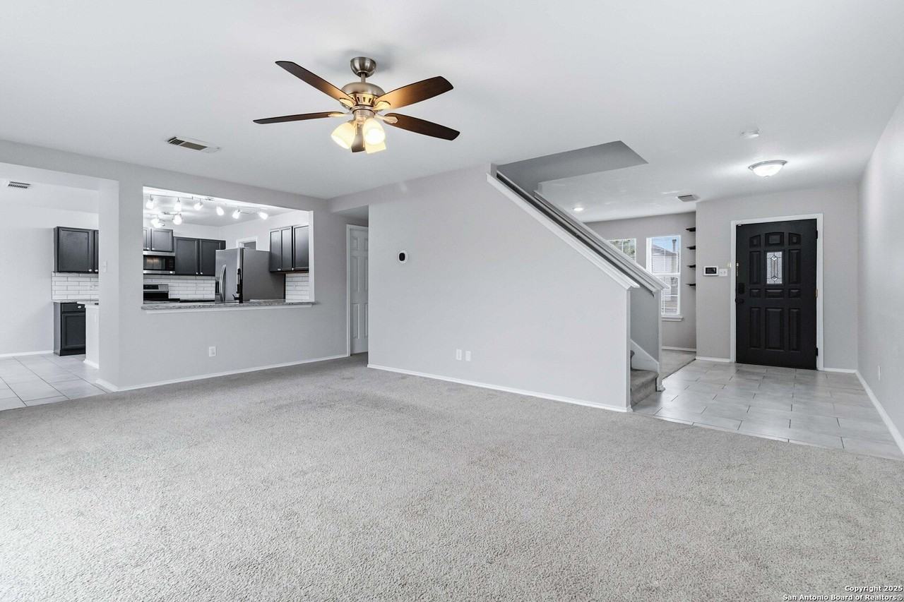 7235 Dwarf Palm - Photo 4 of 25