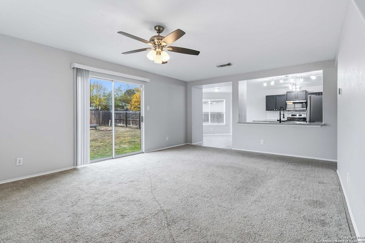 7235 Dwarf Palm - Photo 5 of 25