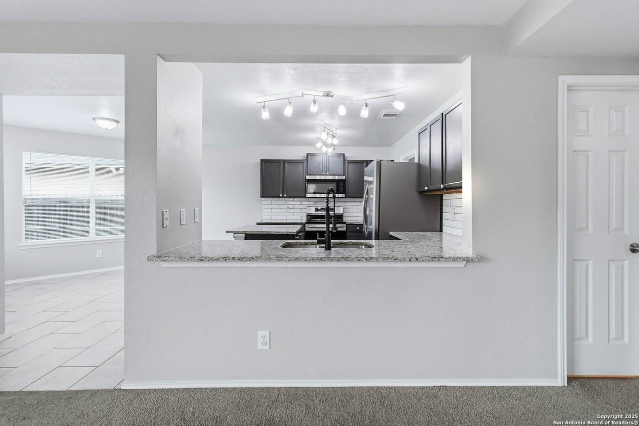 7235 Dwarf Palm - Photo 6 of 25