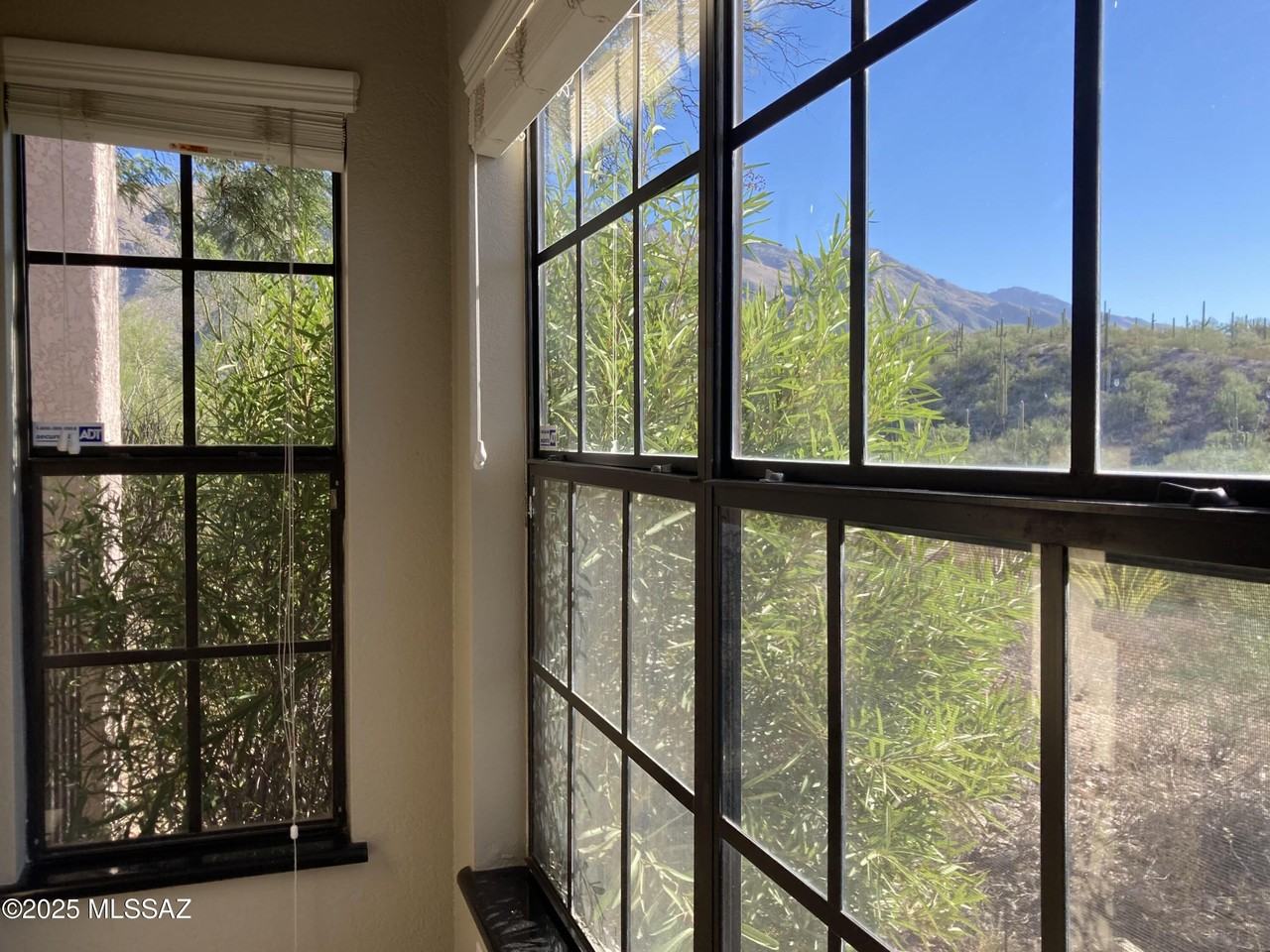 6500 N Tierra De Las Catalinas - Photo 5 of 32