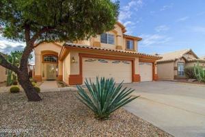 featured image of 9106 N Safflower Ln