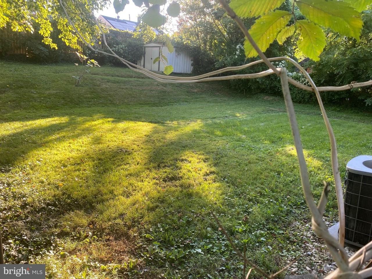 1423 Ruatan St - Photo 4 of 20