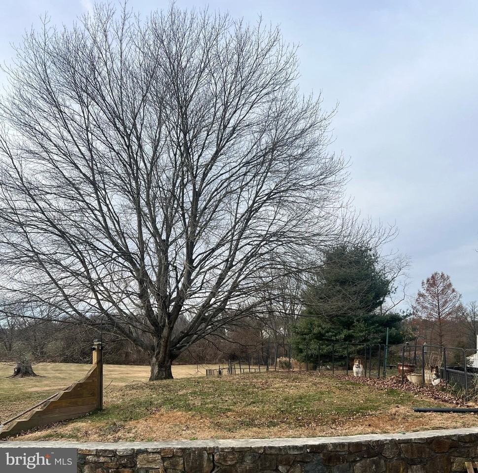 490 Birmingham Rd - Photo 3 of 19