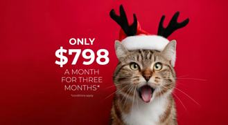 Lakecrest Apartments - Photo 1 of 1