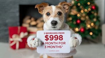 featured image of 143 Payne Bend