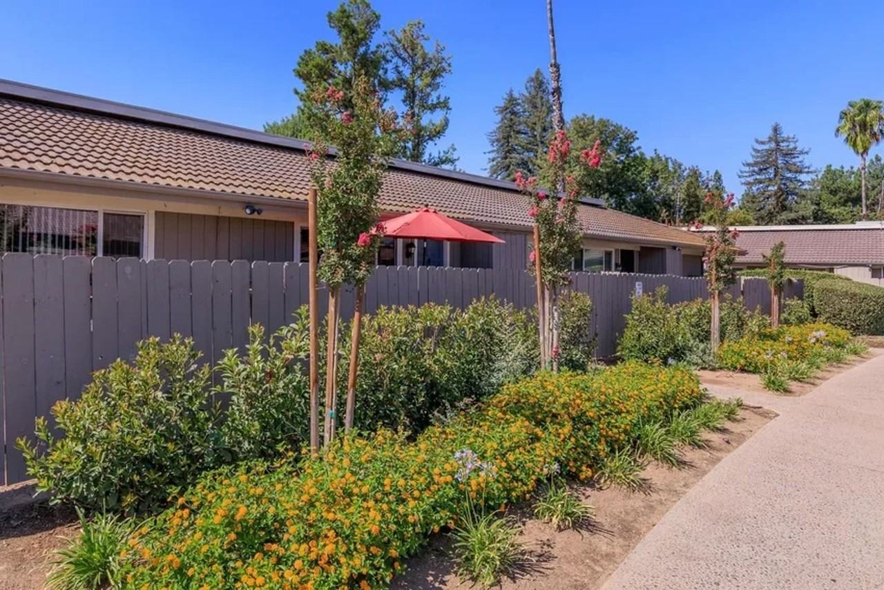 Monterey Pines - Photo 4 of 50