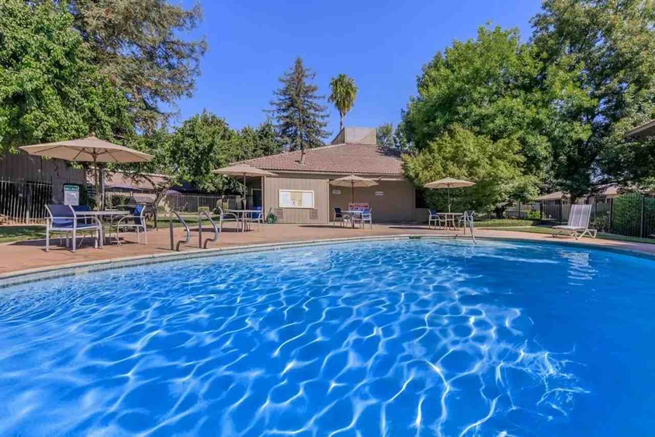 Monterey Pines - Photo 5 of 50