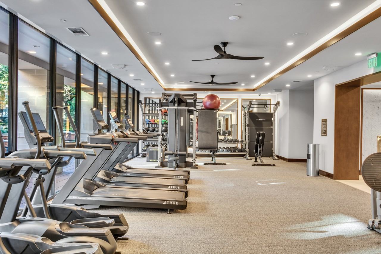 The Park at Katy Trail - Photo 3 of 42