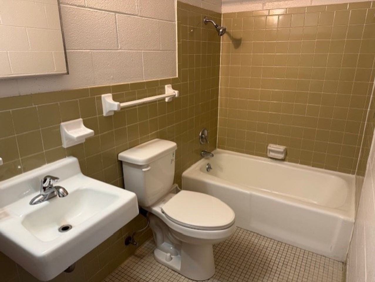 Terra Nova - Photo 6 of 12