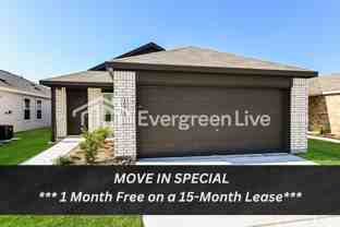 10811 Bird Of Paradise Ln - Photo 1 of 1