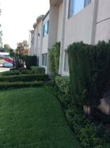 8361 Northgate Gardens - Photo 1 of 1