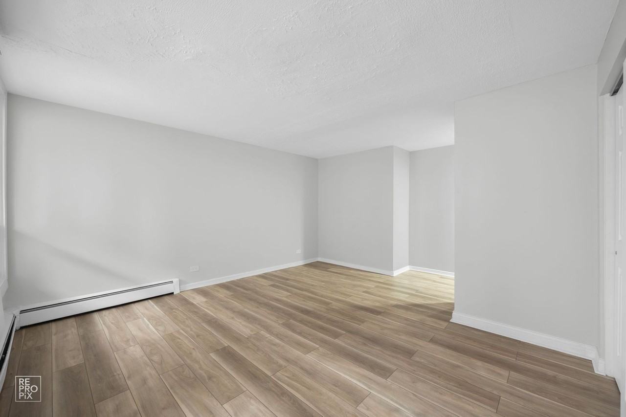 6832 S Crandon Chicago, IL 60649 - Photo 3 of 50