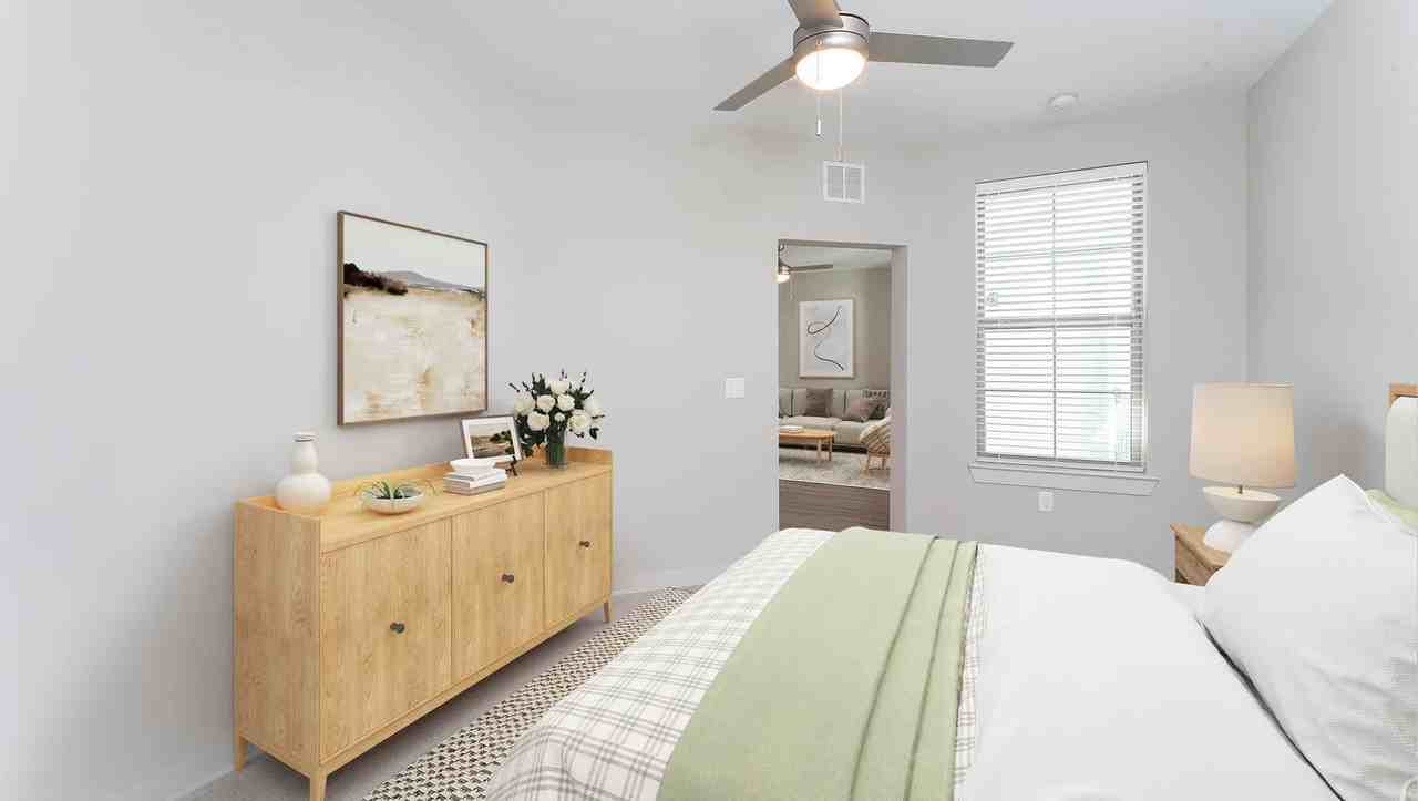 Remy - Photo 2 of 50