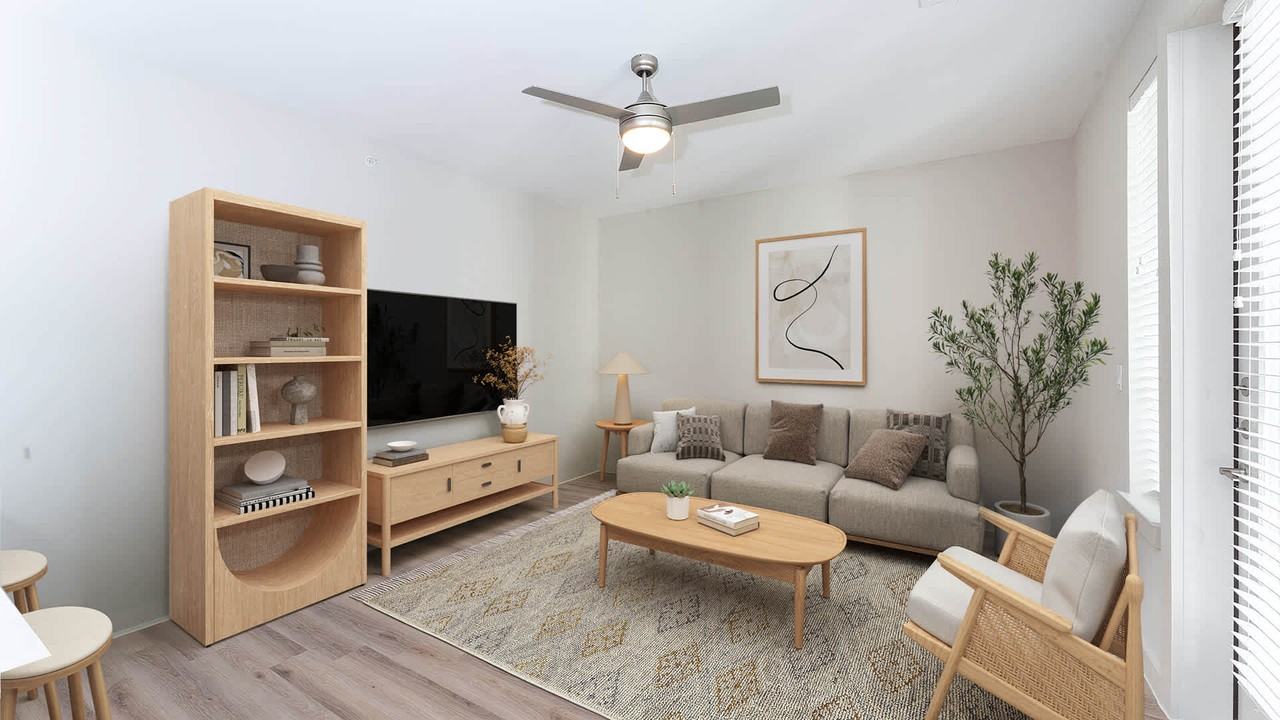 Remy - Photo 3 of 50