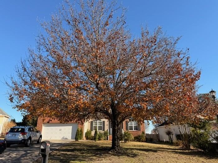 117 Spring Tyme Ln - Photo 4 of 9