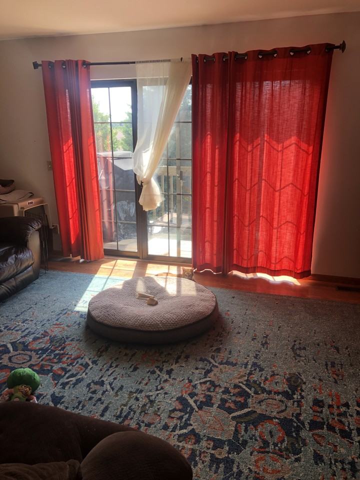 1113 N Windsor Ave #NA - Photo 3 of 10