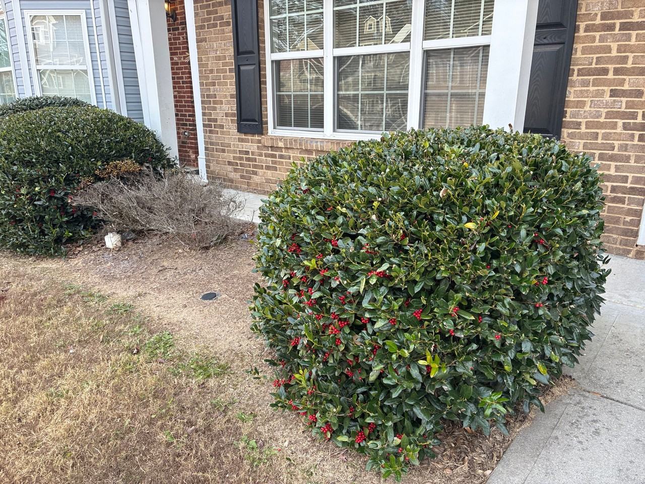 6409 Olmadison Pl - Photo 6 of 18