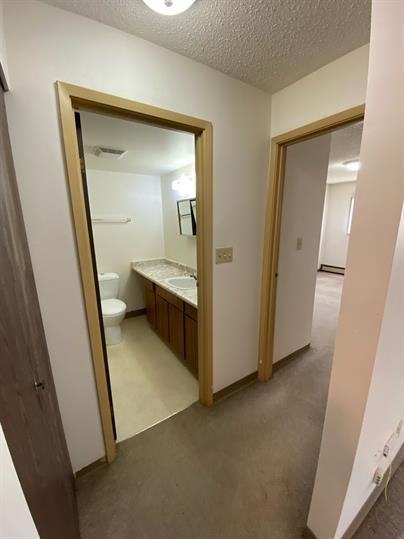 10311 96 Ave #204 - Photo 6 of 12