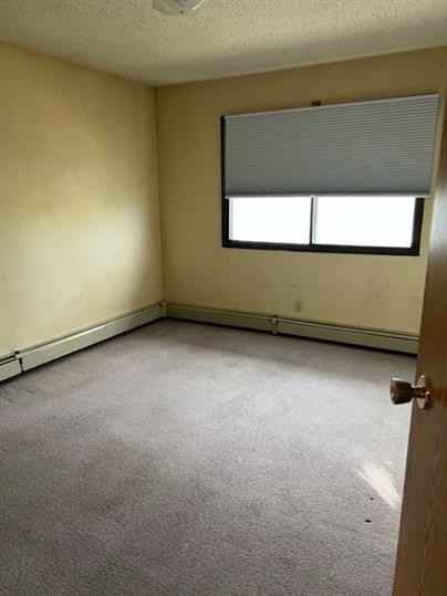 10311 96 Ave #204 - Photo 7 of 12