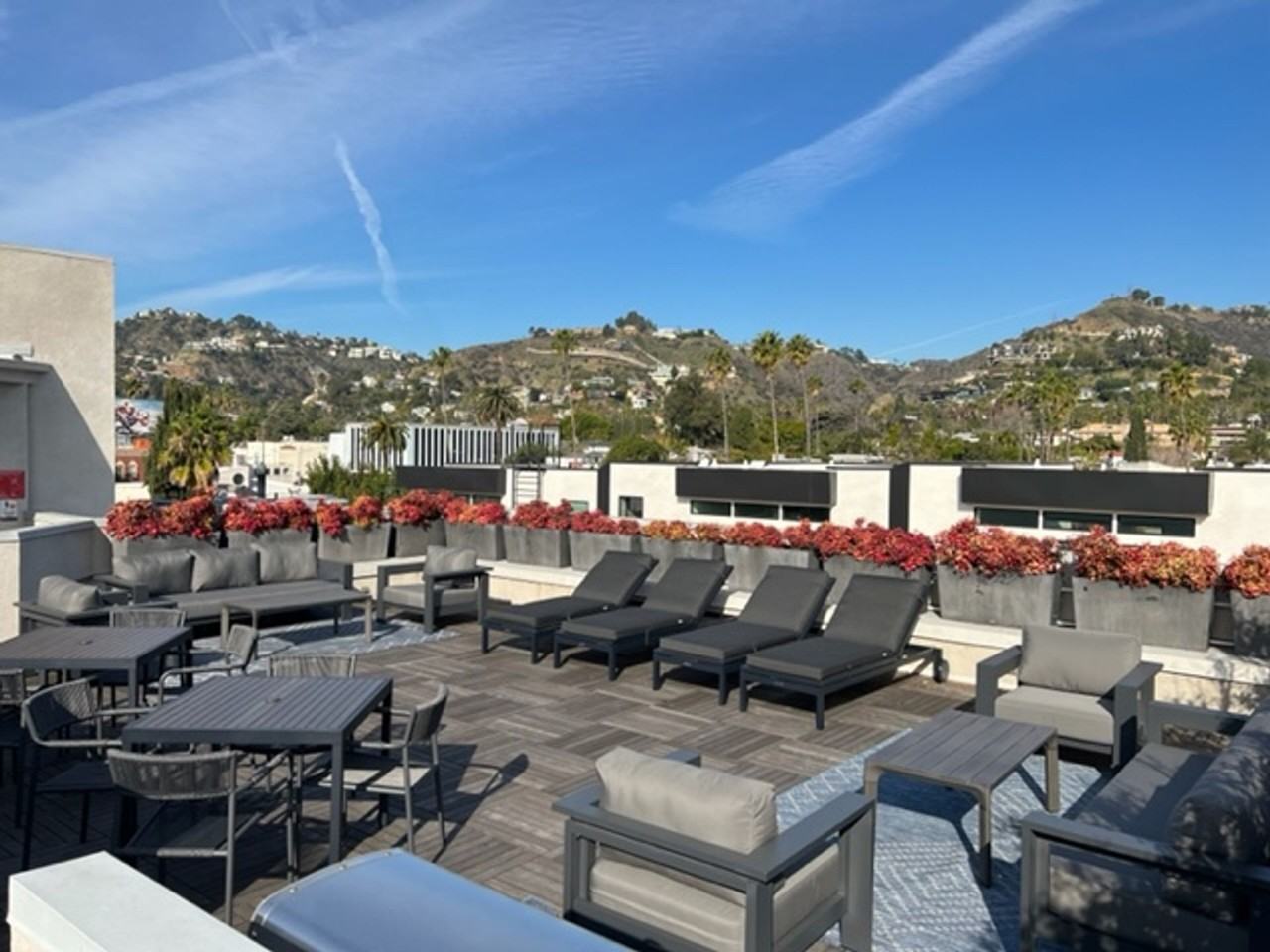 The Curson - Photo 5 of 5