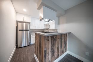 Donax - Photo 1 of 1