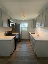 Orion - Photo 1 of 1