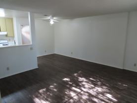 PERSIMMON - Photo 1 of 1