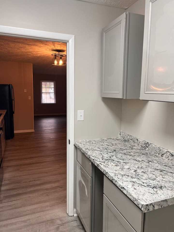 817 Odom Dr - Photo 4 of 11