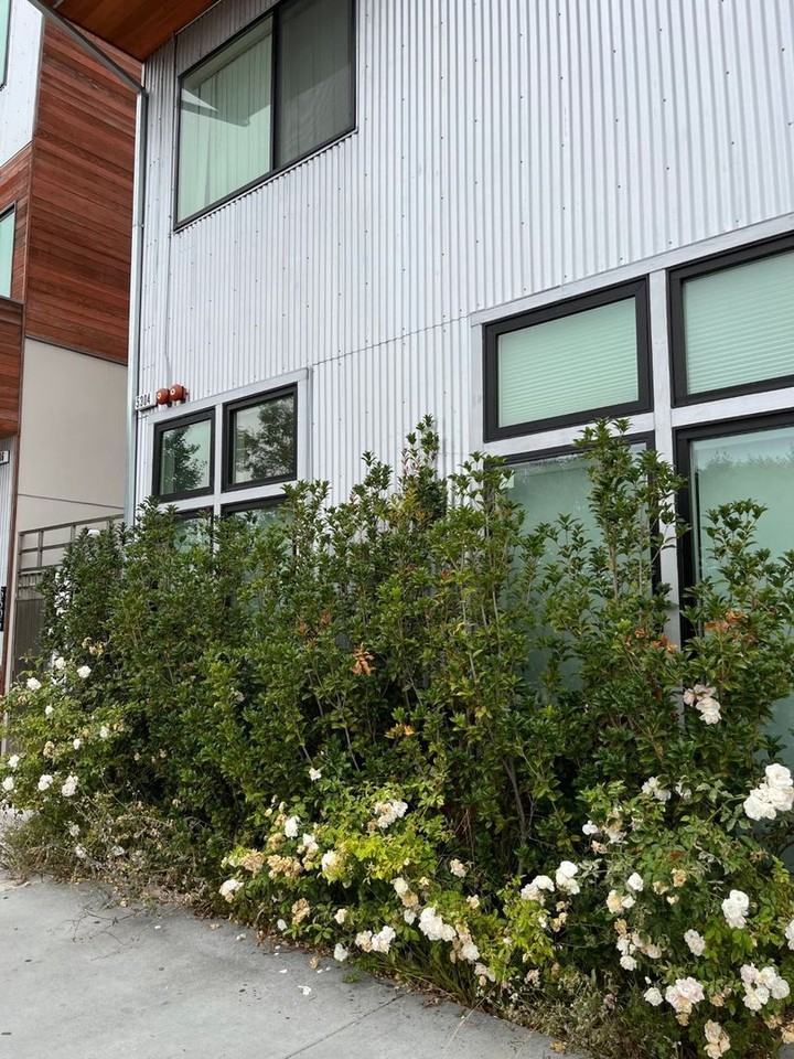 5304 San Pablo Ave #A - Photo 3 of 15