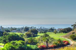 featured image of 146 Avenida Baja