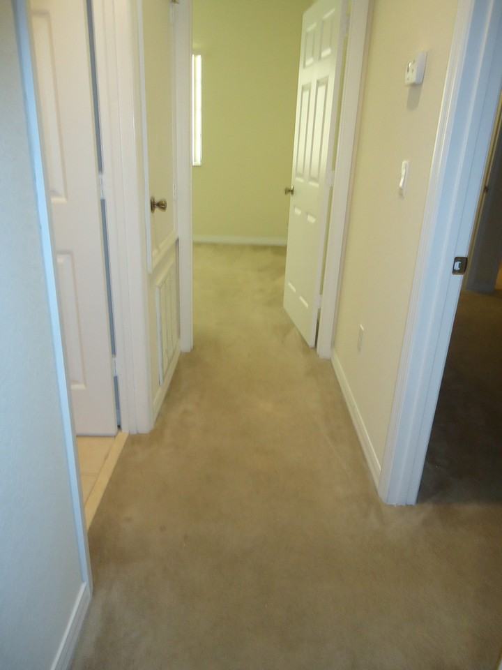 1612 Cumin Dr - Photo 6 of 10