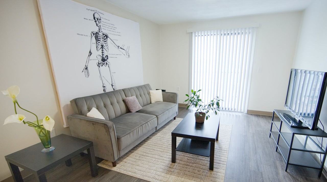 13 Darling St - Photo 4 of 4